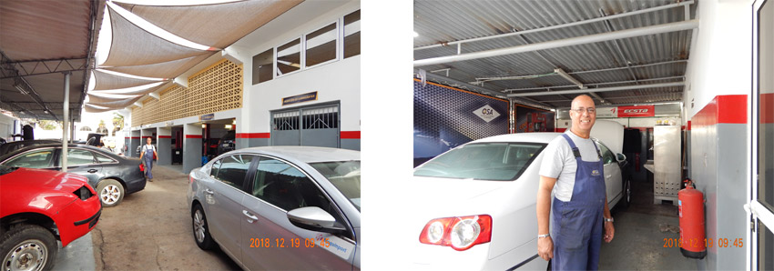 Crecimiento y desarrollo