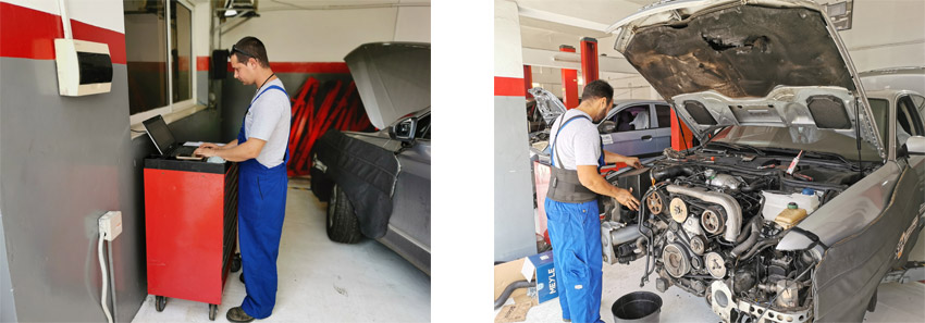 Crecimiento y desarrollo2