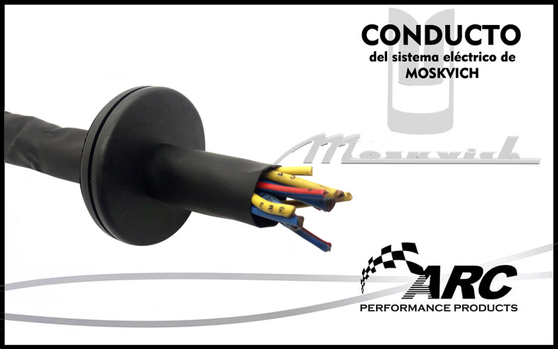 MoskvichCONDUCTOELECTRICO2